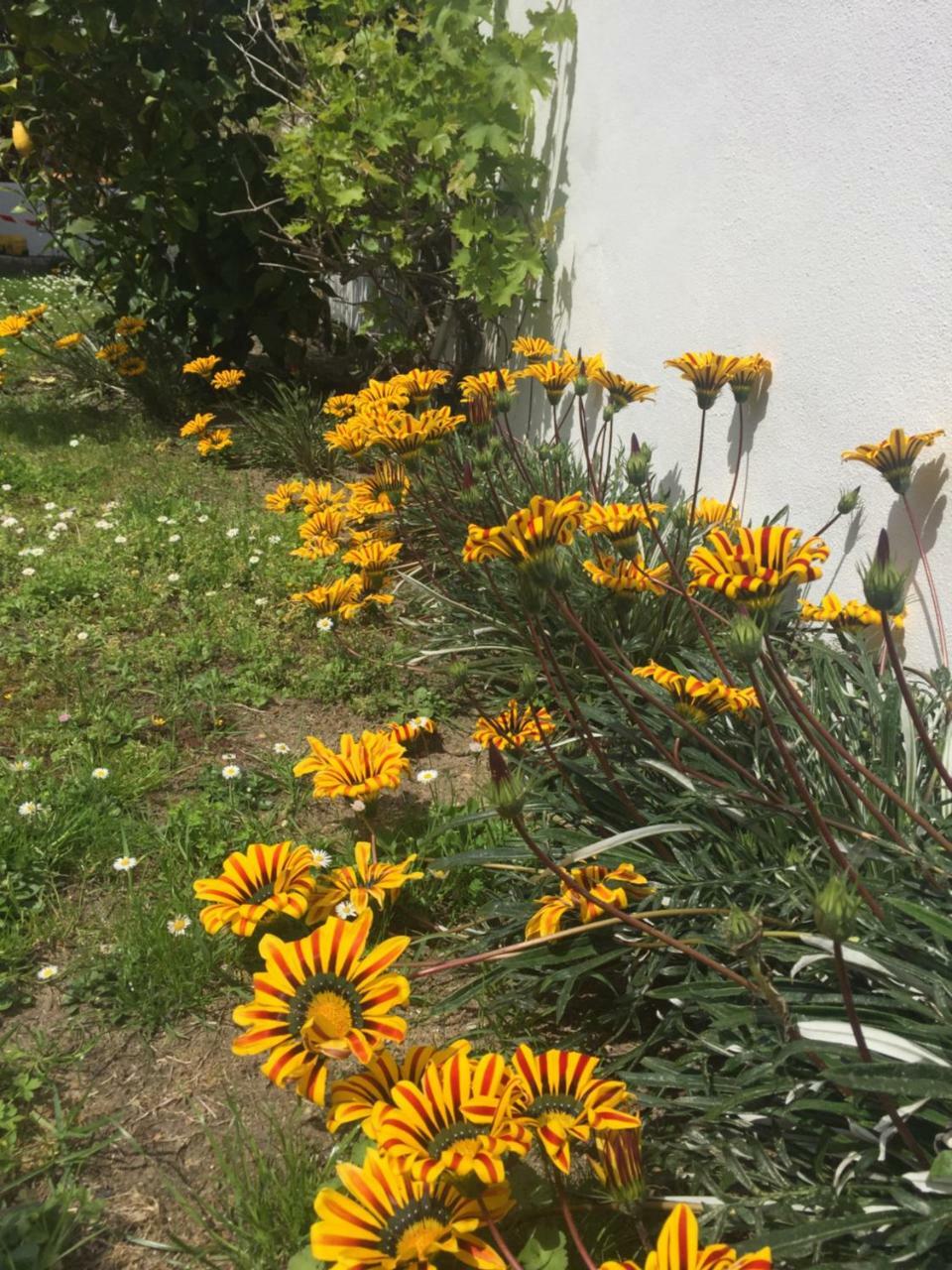 Maison La Fleur De Sel Anglet Dış mekan fotoğraf
